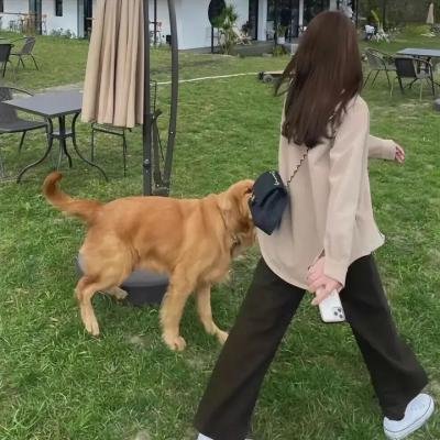 沉默的双眼